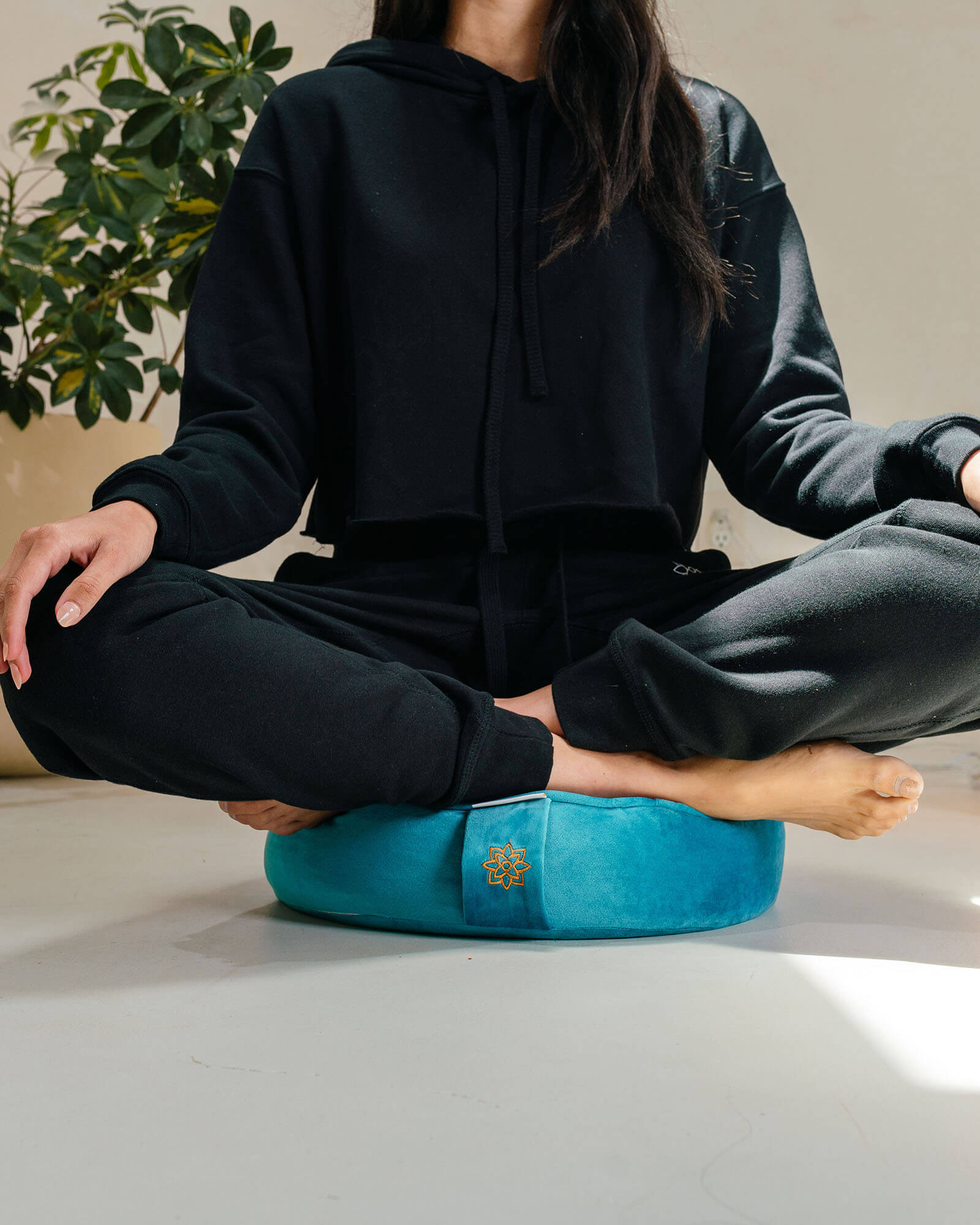 Mindful & Modern Luxe Velvet Buckwheat Meditation Cushion